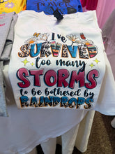 Load image into Gallery viewer, Too Many Storms
